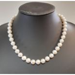 A necklace of large freshwater cultured pearls,