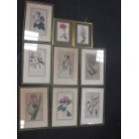 A collection of framed, collegiate, scenic, botanical and other small size prints, mainly 19th