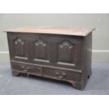 A stained pine coffer of small proportions the hinged top over three panelled front with two drawers