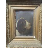 H Hilly, Study of a dog, oil on panel, signed upper left,39 x 33.5cm framed, 22 x 15.5 cm (panel)