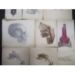 A small quantity of 19th century anatomical watercolours and some prints