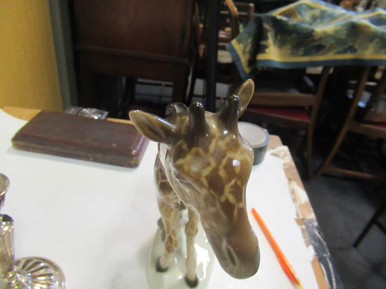 A set of four early 20th Century Dresden plates, a lemon tree ornanment, 2 lladrow figures, giraffe, - Bild 13 aus 13