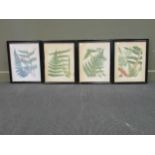 Four OKA fern prints, framed, and a painted arched frame mirror