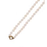 A single Opera length row of cultured pearls,