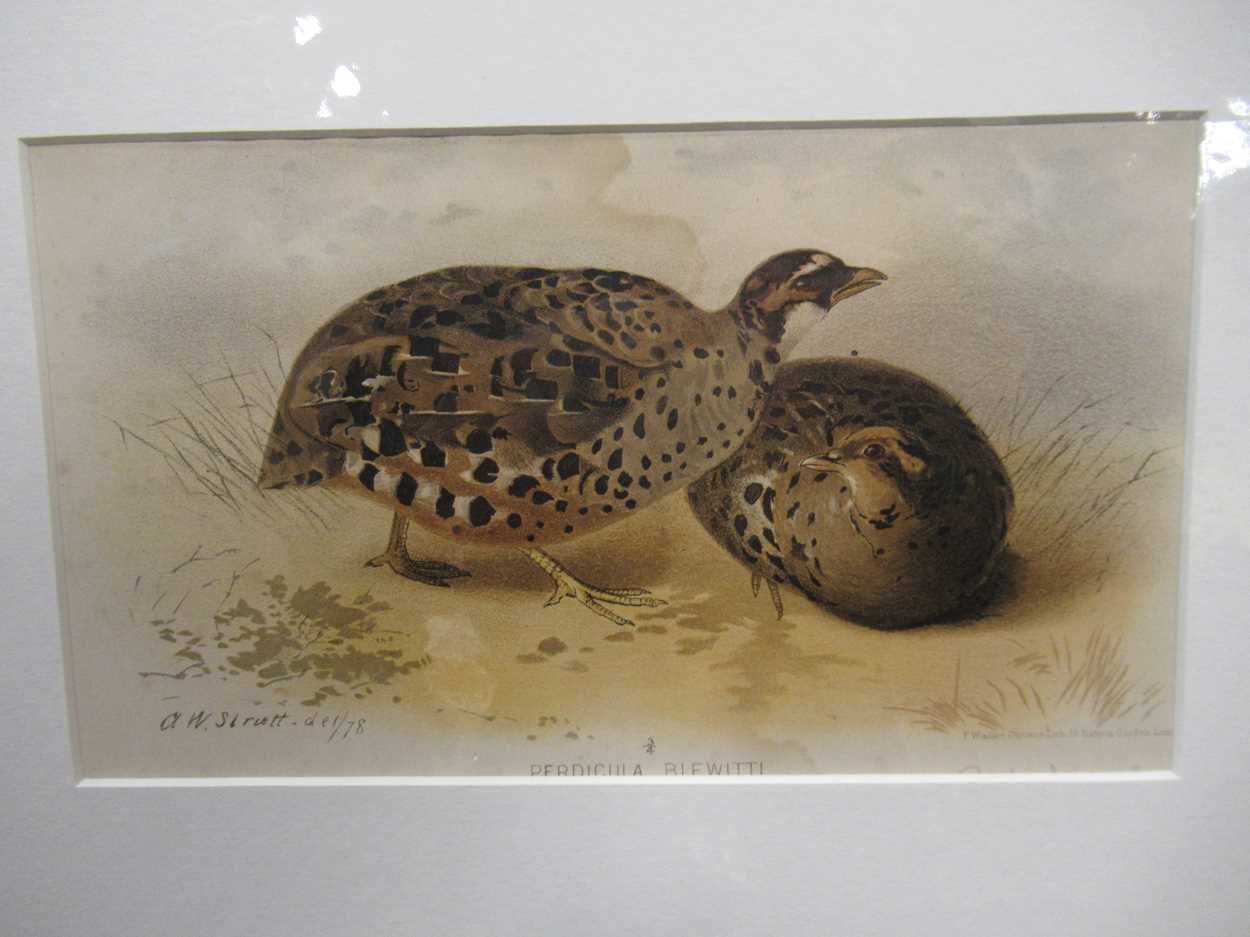 A group of five 19th and 20th century prints, to include: E J Harrington, Reunion, signed and - Image 6 of 9