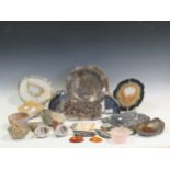 A collection of various fossils, minerals, and two polished pieces of amber