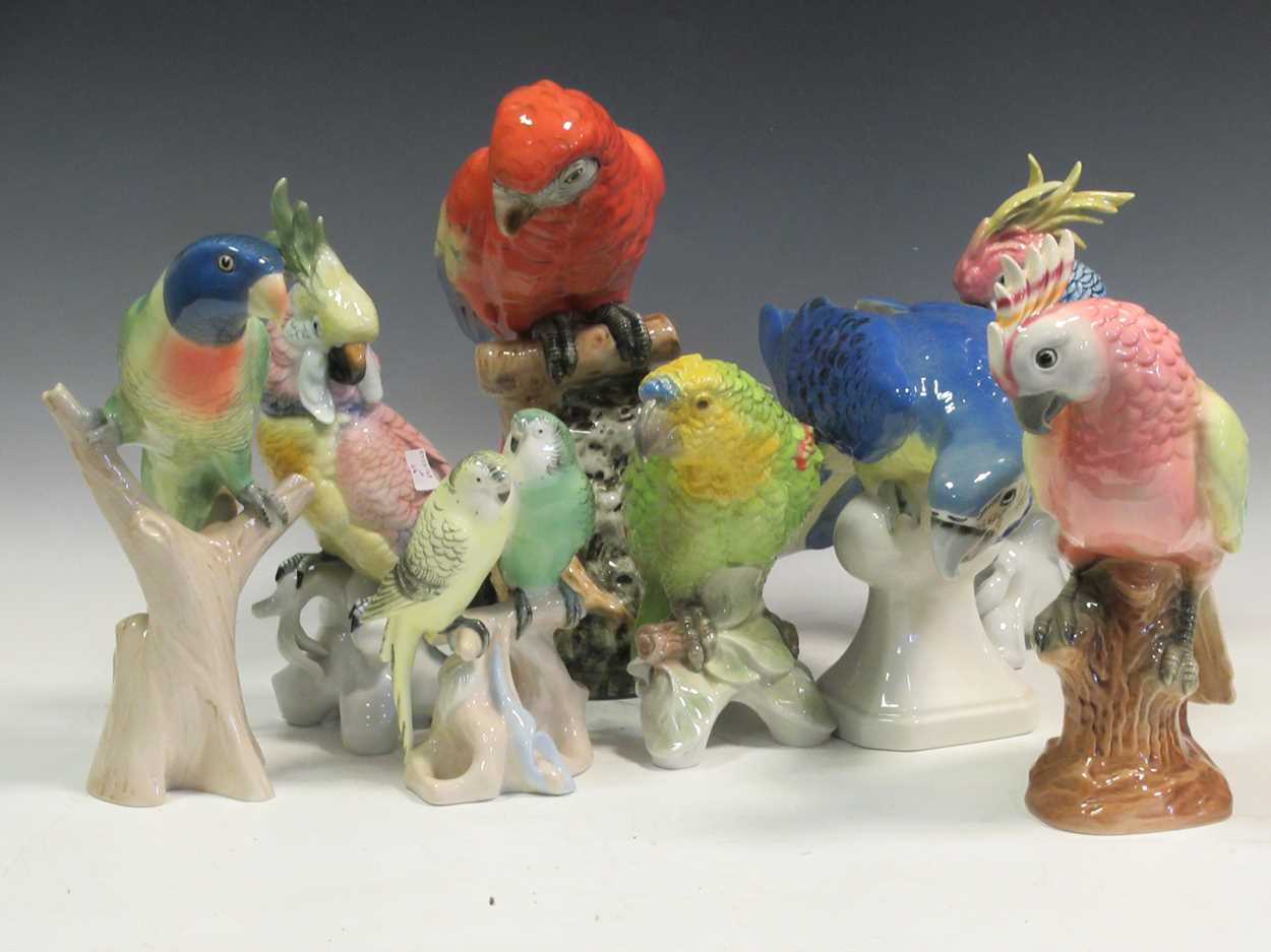 A collection of Royal Dux, Goebel and Karl Ens bird parrots and cockatoos, tallest 32cm high