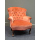 An early Victorian peach upholstered button back armchair the outswept arms on cabriole legs