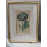 A group of 6 19th century floral/botanical coloured lithographs, gilt frames, 15 x 9 cm (6)Condition