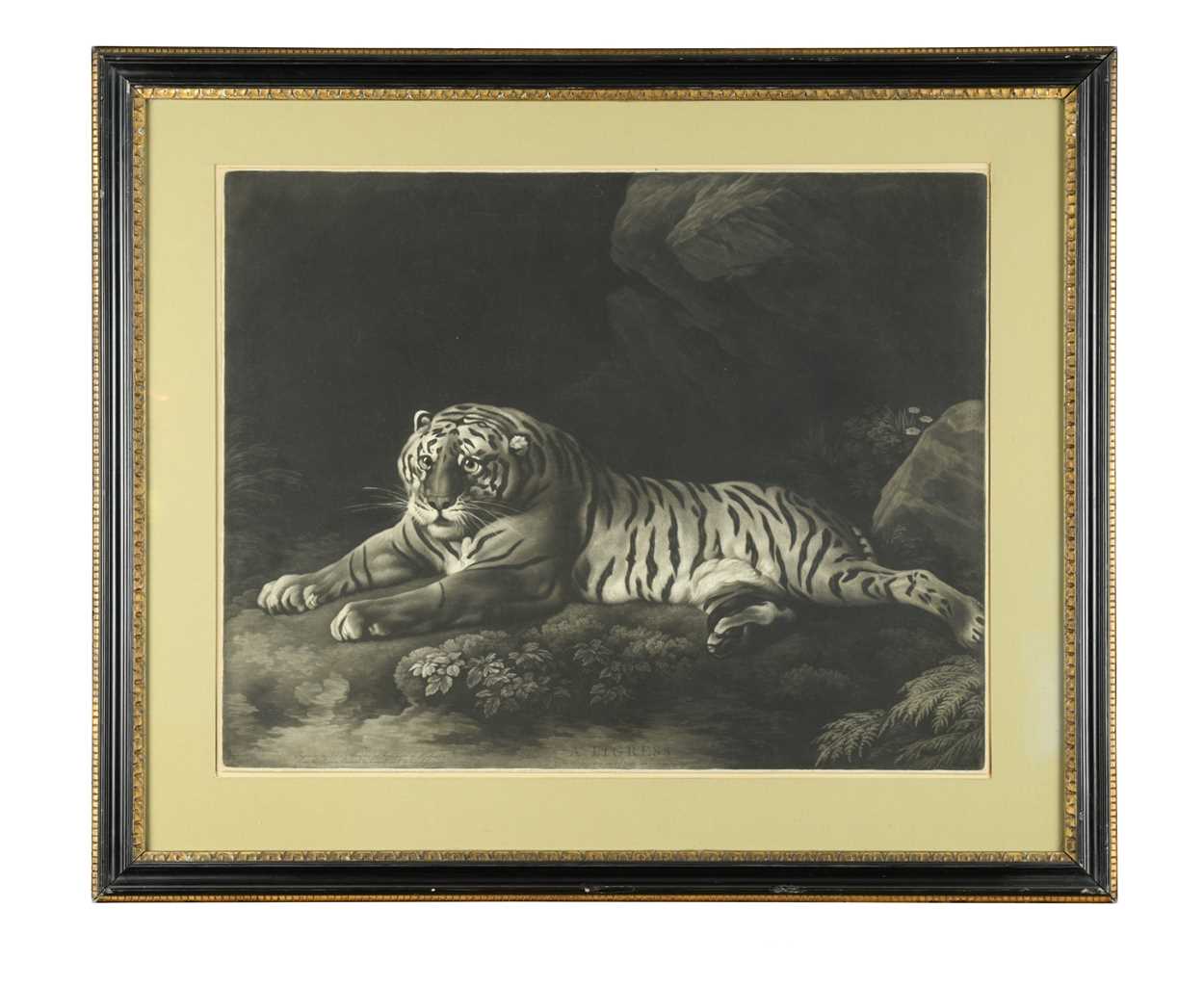 John Murphy after James Northcote, R. A., A Tyger, mezzotint, published by John & Jo'hah Boydell,