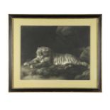 John Murphy after James Northcote, R. A., A Tyger, mezzotint, published by John & Jo'hah Boydell,