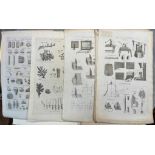 TAYLOR (Isaac) Collection of loose folio engraved illustrations, late 18th century, of natural