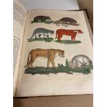 BUFFON (Count de) A Natural History, General and Particular, translated by William Smellie, 2 vols.,