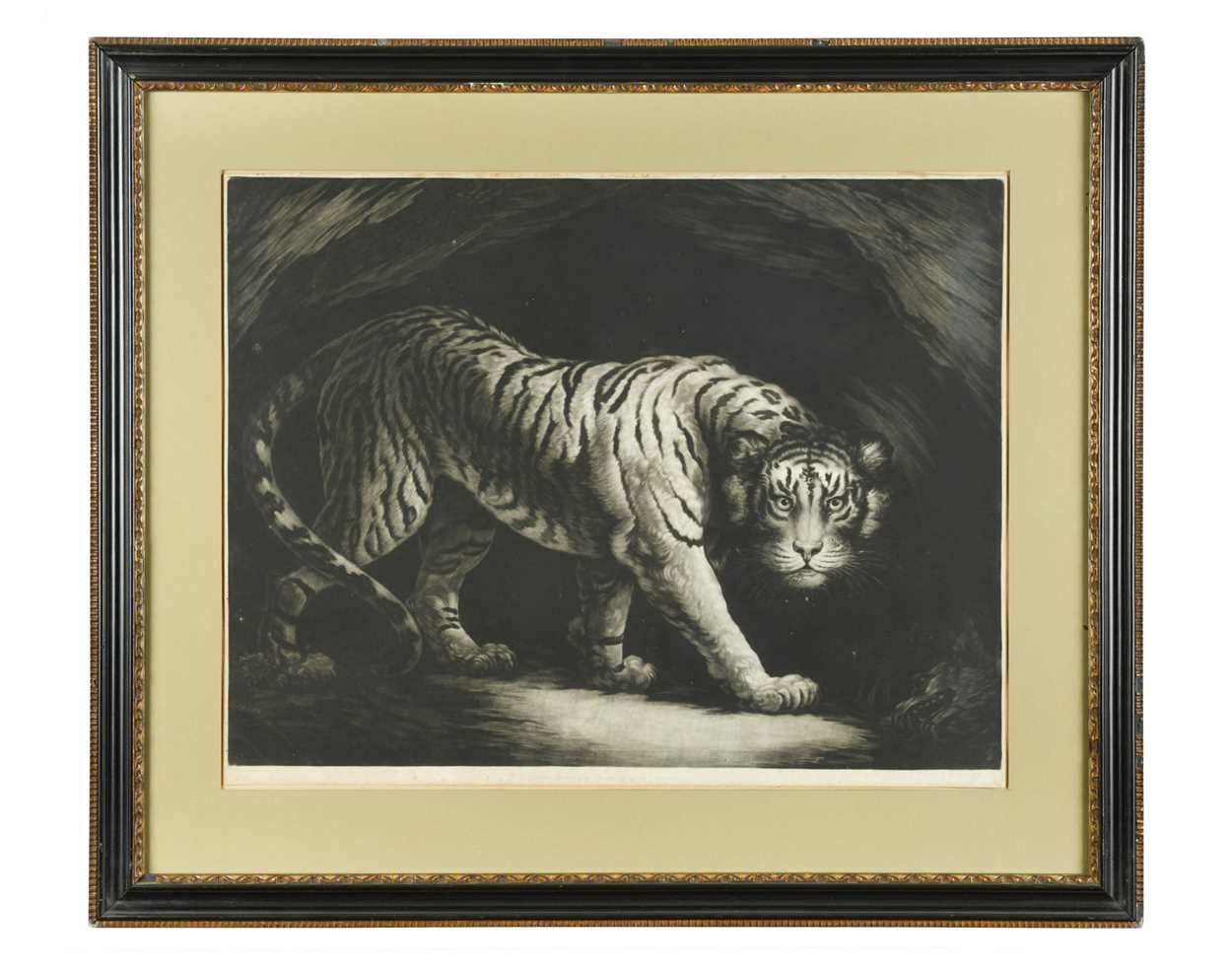 John Murphy after James Northcote, R. A., A Tyger, mezzotint, published by John & Jo'hah Boydell, - Image 2 of 9