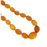 A single row of amber beads,