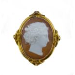 A large shell cameo brooch,
