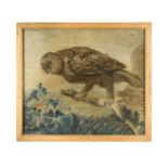 Mary Linwood (1755-1845), a silkwork embroidered picture of an owl,