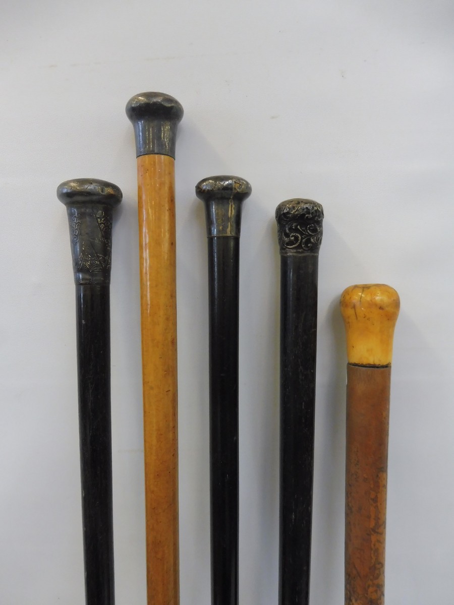 Four silver mounted walking canes and one other.