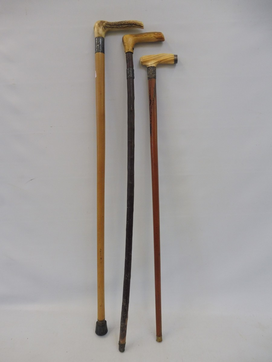 A malacca walking cane with silver mounts and ivory handle plus two silver mounted antler handled - Image 3 of 4