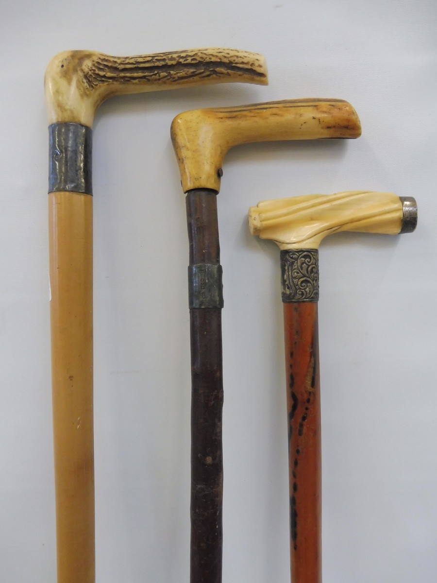 A malacca walking cane with silver mounts and ivory handle plus two silver mounted antler handled