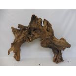 A large well weathered driftwood sculpture, approximately 40" long.