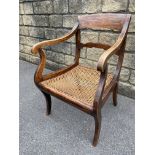 A 19th Century cane seated carver chair, raised upon sabre front supports.