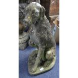 Garden Statuary; A composite model of a Pointer Dog, in sitting position with one front paw