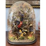 A Victorian taxidermy diorama of ten exotic birds, in a naturalistic setting within an ovoid glass