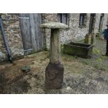 An antique granite mushroom-shaped Staddle Stone, overall 54in (137cm) high, above ground