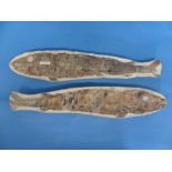 Natural History, Paleontology and Minerals; A Large Fossil Fish (VINCTIFER (BELONOSTAMUS)