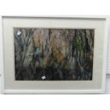•Margaret Eccleston (1937-2017), Trees in Wood, mixed media, signed, 13½in x 20¼in (34.25cm x 51.