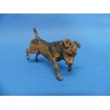 A late 19th century Austrian cold-painted bronze Terrier Dog, 4¾in (12cm) long.