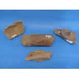 Natural History, Paleontology and Minerals; Four Plesiosaur Bone Fossil Specimens, including a