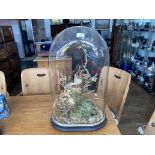 A Victorian glass dome over naturalistic setting,of ferns and grasses,