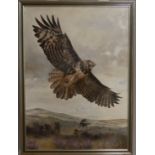 •M. Coleman-Cooke (20th century), Eagle in flight soaring above heathlands, oil on canvas, signed