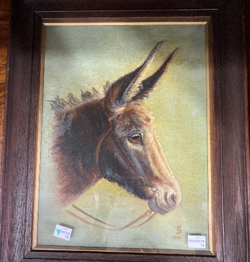 A Study of a Donkey's Head (20thC School) Oil on Canvas, signed and dated 'TB', '1917', to bottom