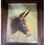 A Study of a Donkey's Head (20thC School) Oil on Canvas, signed and dated 'TB', '1917', to bottom