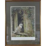 David Parry, British 20thC, Barn Owl, Limited Edition print, signed, (6/850), 20in (51cm) x 14in (