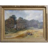 20th Century School, Autumn Harvest, Oil on Board, framed, without signature, 16in (40cm) x 21in (