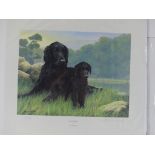 WITHDRAWN: Debbie Gillingham, British 20thC, Limited Edition signed dog Prints, including, 'Low Cov