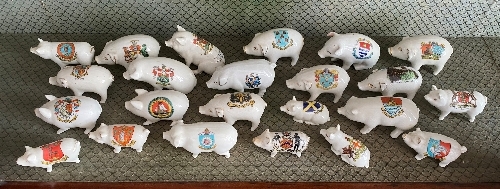 A large quantity of Crested China Pigs, all painted with different crests and place names, with