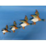 A set of four Beswick Flying Ducks, graduating in size, one broken and repaired, the largest: