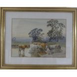 William Sidney Cooper (British, 1854-1927) 'An Evening in Kent' Watercolour, depicting cows,