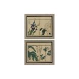A COLLECTION OF JAPANESE WOODCUT PRINTS OF FLOWERING PLANTS, LATE 19TH/EARLY 20TH CENTURY,