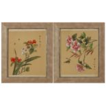 A COLLECTION OF TWELVE CHINESE PAINTINGS OF BIRD AND FLOWERS, LATE 19TH/EARLY 20TH CENTURY