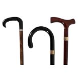 THREE VARIOUS WALKING STICKS