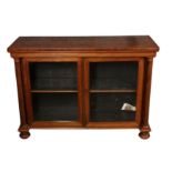 A WILLIAM IV ROSEWOOD RECTANGULAR SIDE CABINET