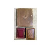 An 1893 Grand Tour Photograph Album & 2 Carte de Visite Albums.