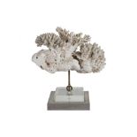 A CORAL SPECIMEN ON LUCITE BASE, CIRCA 1960s