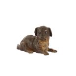 AN EARLY 20TH CENTURY VIENNESE COLD PAINTED BRONZE MODEL OF A PUPPY